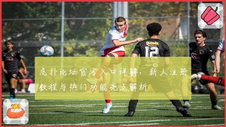 虎扑论坛官方入口详解，新人注册教程与热门功能亮点解析